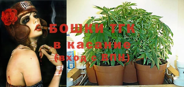 мескалин Вяземский