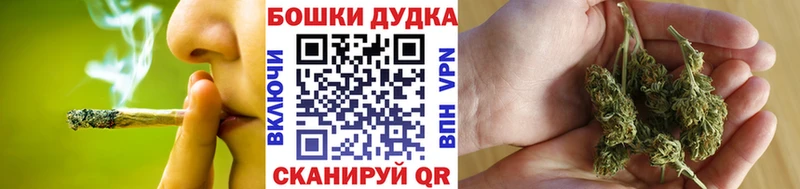 Канабис план  Западная Двина 